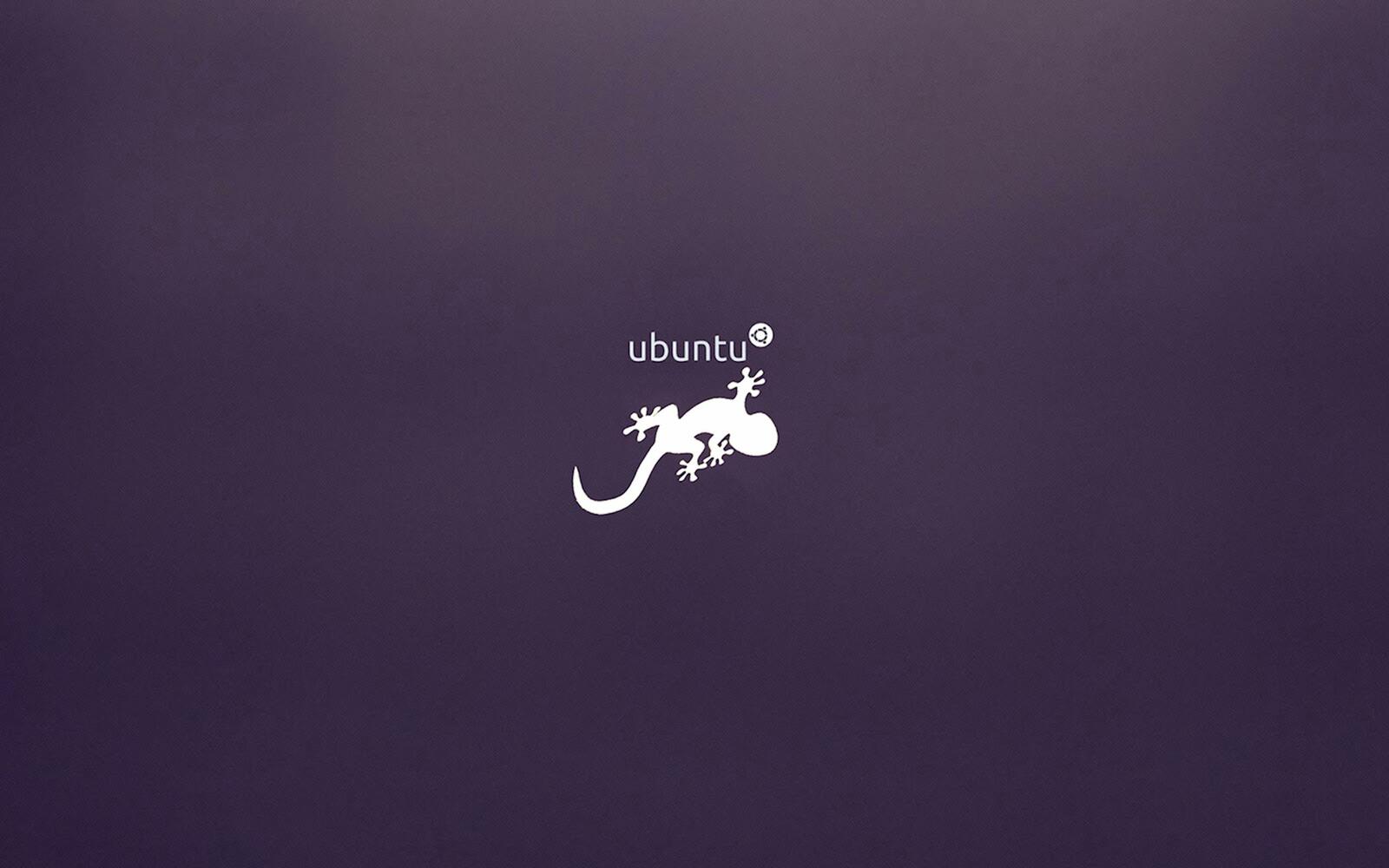 Ubuntu 20.04 Wallpaper